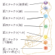 チャクラのイメージ