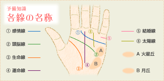 手相 各線の名称